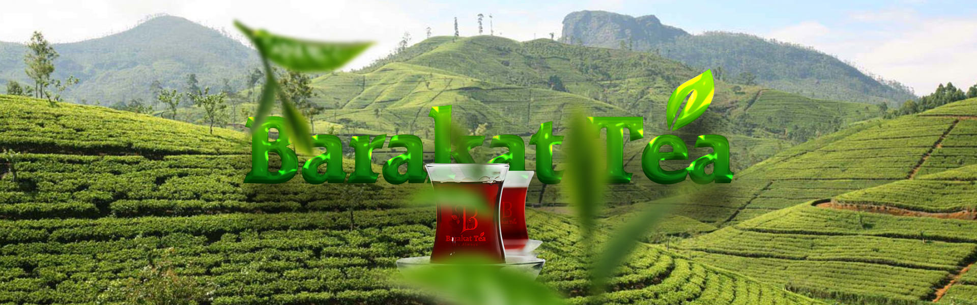 Barakat TEA | For All Your Tea Moments | Black TEA - Green TEA