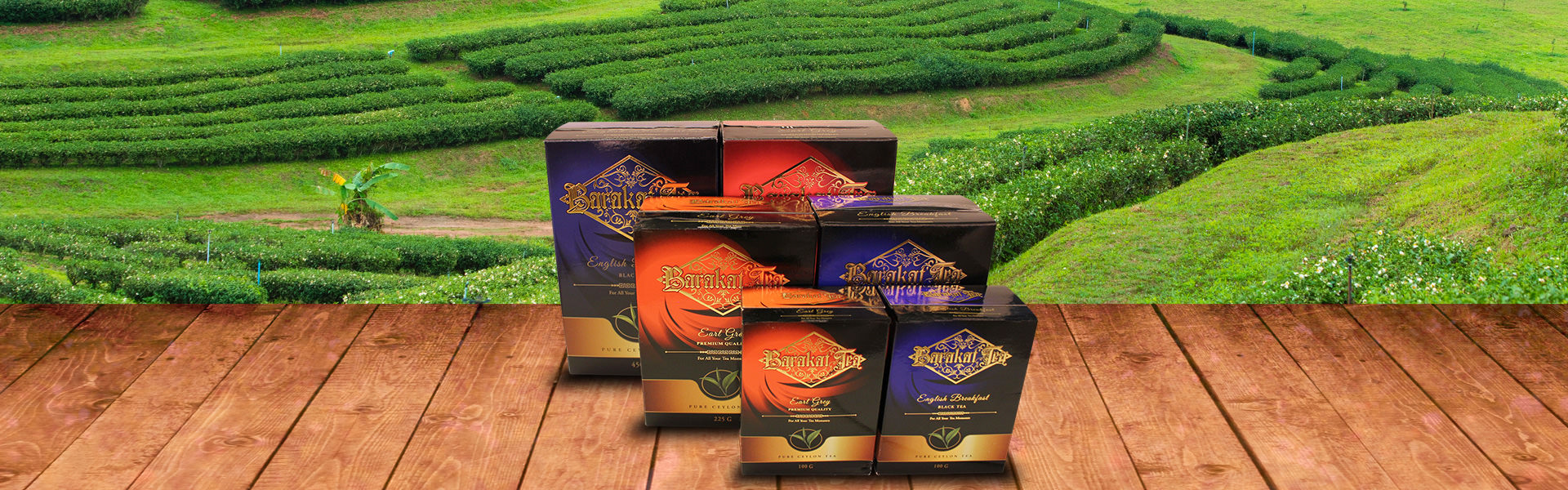 Barakat TEA | For All Your Tea Moments | Black TEA - Green TEA