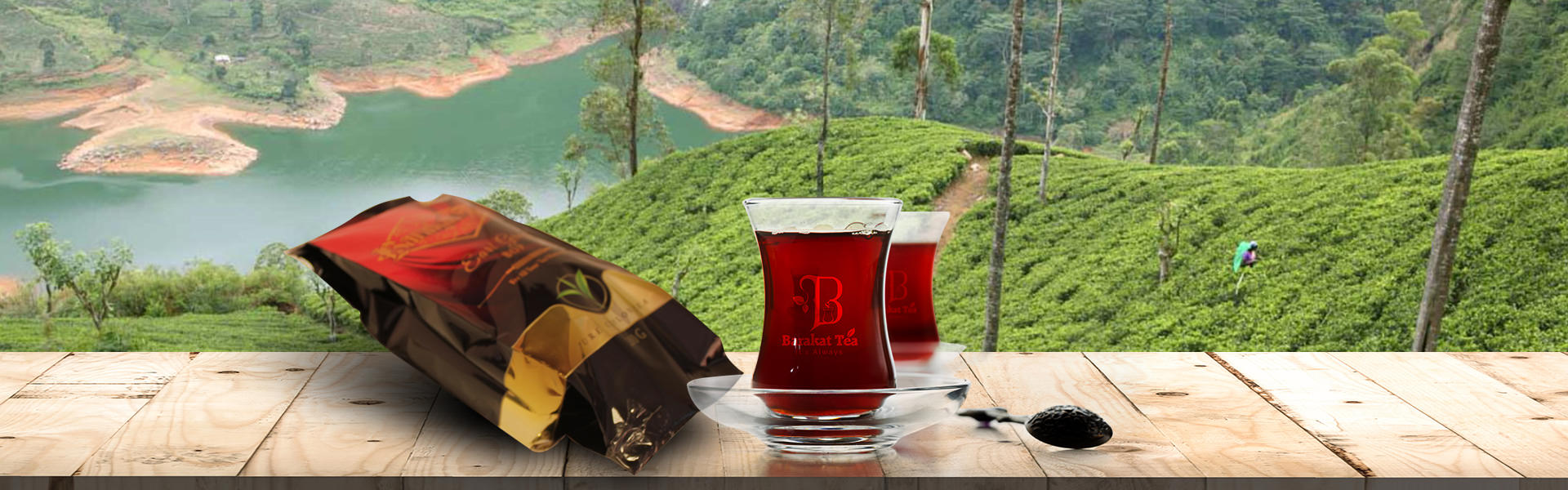 Barakat TEA | For All Your Tea Moments | Black TEA - Green TEA